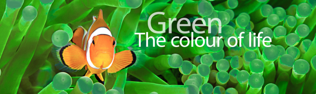 Green. The colour of life.